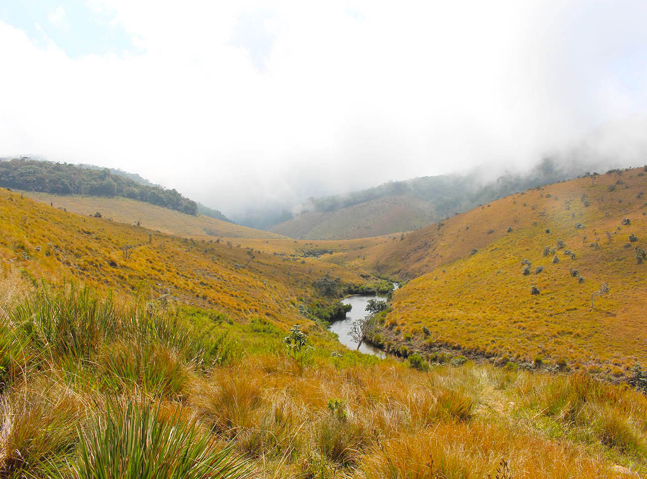 Nuwara Eliya